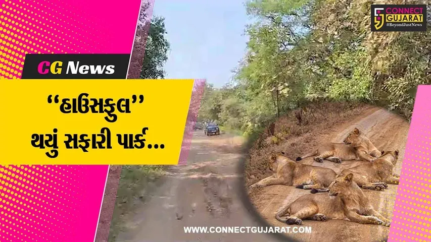 જુનાગઢ : દિવાળી વેકેશનમાં નેચર સફારી પાર્કનું એડવાન્સ બુકીંગ “ફૂલ”, સહેલાણીઓમાં અનેરો ઉત્સાહ...