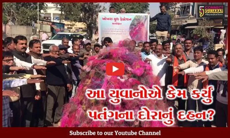 અમદાવાદ: ઉત્તરાયણ બાદ પતંગના દોરા પક્ષીઓ માટે ઘાતક પુરવાર થાય એ પૂર્વે યુવાનોએ કર્યું આ કામ