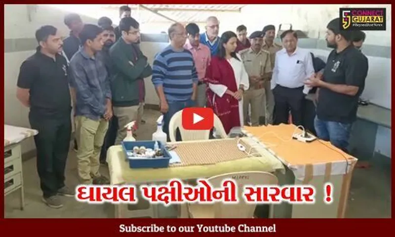 ભરૂચ: પતંગના ઘાતક દોરાથી ઘાયલ પક્ષીઓની સારવાર માટે કેમ્પનું આયોજન..