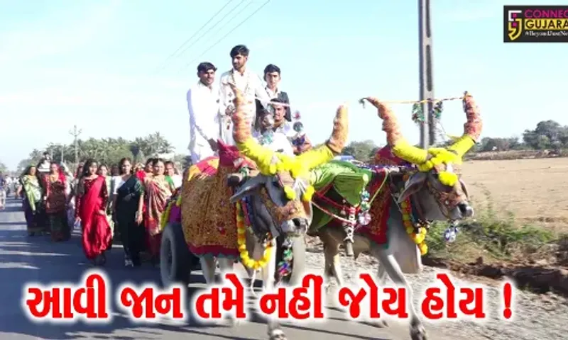 ગીરસોમનાથ: સુત્રાપાડાના લોઢવા ગામે બળદગાડામાં વરરાજાની નિકળી જાન, પરંપરાગત રીતે યોજાયા લગ્ન