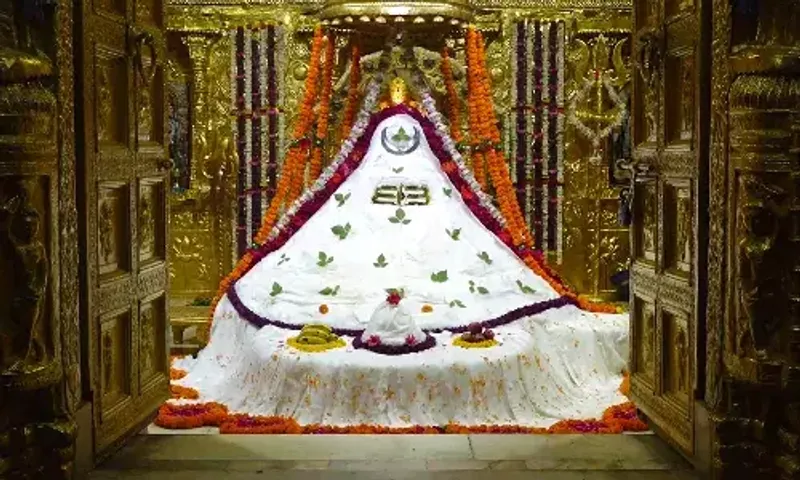 શ્રાવણ અમાસ પર સોમનાથ મહાદેવને કરવામાં આવ્યો અમરનાથ દર્શન શ્રૃંગાર