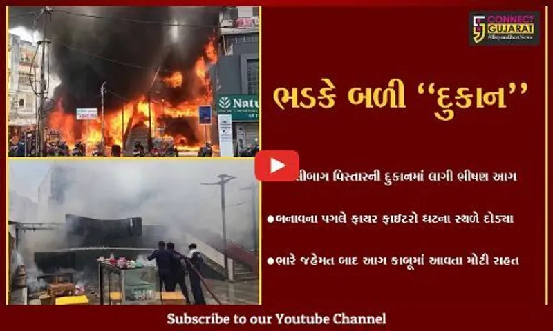 વડોદરા : કારેલીબાગ વિસ્તારની દુકાનમાં આગ ફાટી નીકળતા નાસભાગ, ફાયર ફાઇટરો દોડ્યા...