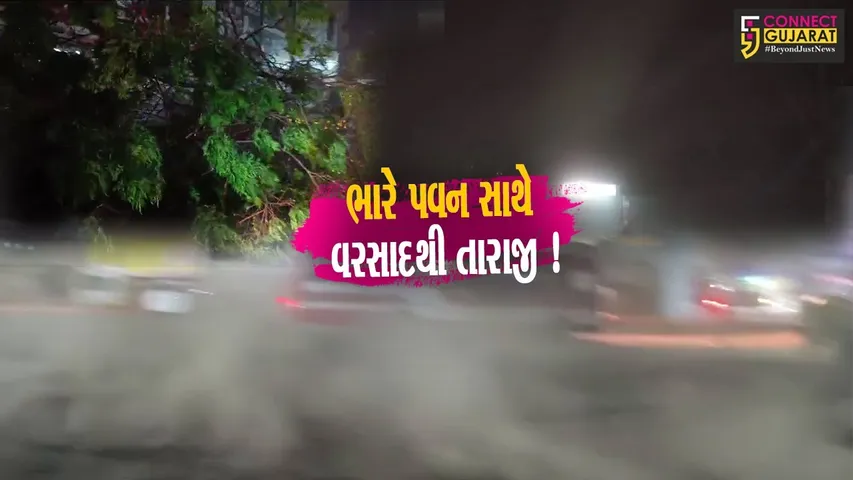 ભરૂચ: મીની વાવાઝોડા સાથે ઠેર ઠેર કમોસમી વરસાદથી તારાજીના દ્રશ્યો, વાલિયા- નેત્રંગમાં સરેરાશ 2 ઇંચ વરસાદ