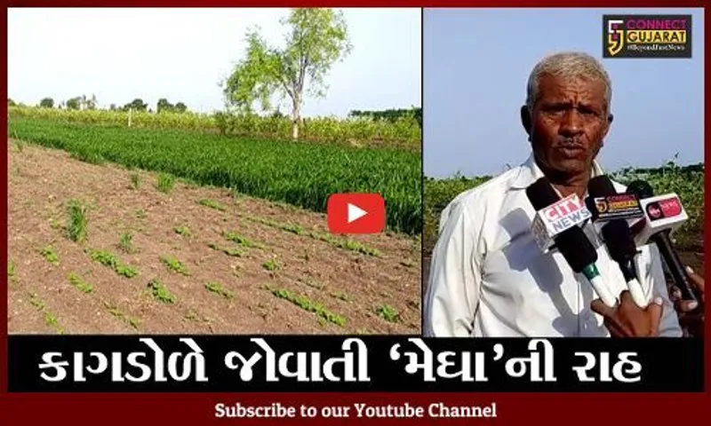 ભાવનગર : પાકોનું વાવેતર કર્યા બાદ વરસાદ ખેંચાતા ધરતીપુત્રો ચિંતાતુર