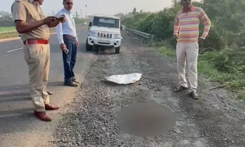 ભરૂચ : ઝઘડીયાના ગોવાલી ગામ નજીક અજાણ્યાં વાહનની ટક્કરે દીપડાનું મોત, વન વિભાગ દોડતું થયું...