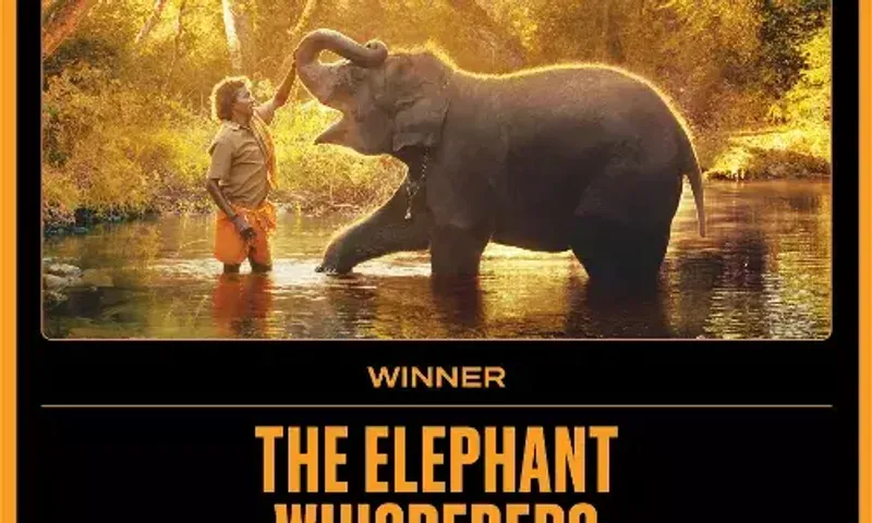 Oscar Award 2023 : 'ધ એલિફન્ટ વ્હીસ્પર્સ' એ ઓસ્કાર એવોર્ડ જીત્યો, તમે આ ફિલ્મ અહીં જોઈ શકો છો..