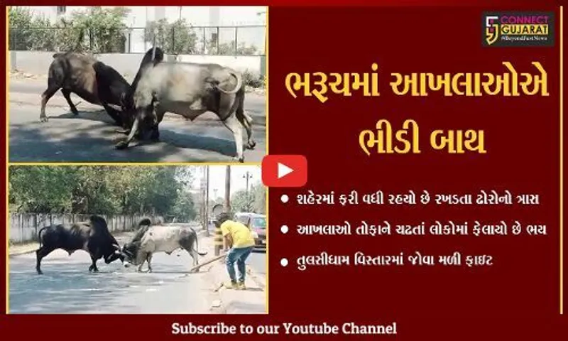 ભરૂચવાસીઓ સાવધાન થઇ જજો.. શહેરના માર્ગો પર મોતનું આગમન થઇ ચુકયું છે.....