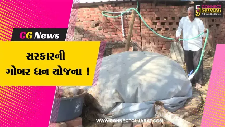 ખેડા:સરકારની ગોબર ધન યોજના થકી પ્રદૂષણમુક્ત ઈંધણનો વિકલ્પ,જુઓ ખેડૂતોએ કેમ અપનાવ્યો આ માર્ગ