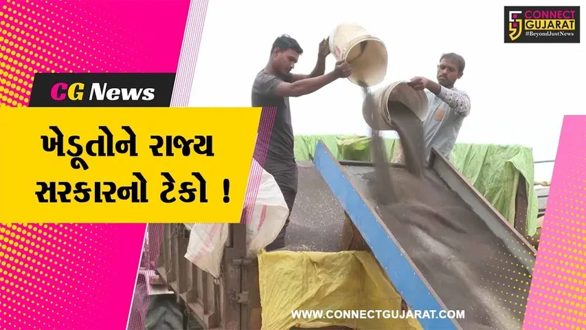 રાજ્ય સરકારે વિવિધ પાકની ટેકાના ભાવે ખરીદી કરી શરૂ, ખેડૂતોને મળ્યો લાભ