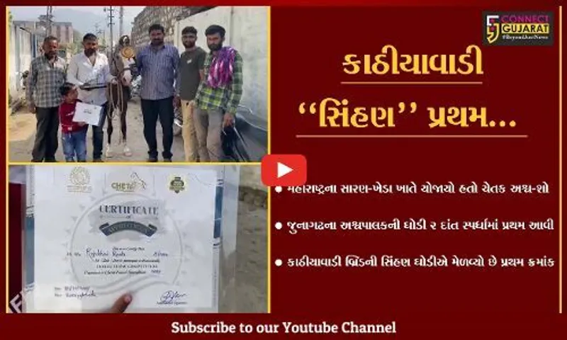 જુનાગઢ : મહારાષ્ટ્રમાં યોજાયેલ અશ્વ-શોમાં કાઠીયાવાડી બ્રિડની "સિંહણ" ઘોડીએ મેળવ્યો પ્રથમ ક્રમાંક.