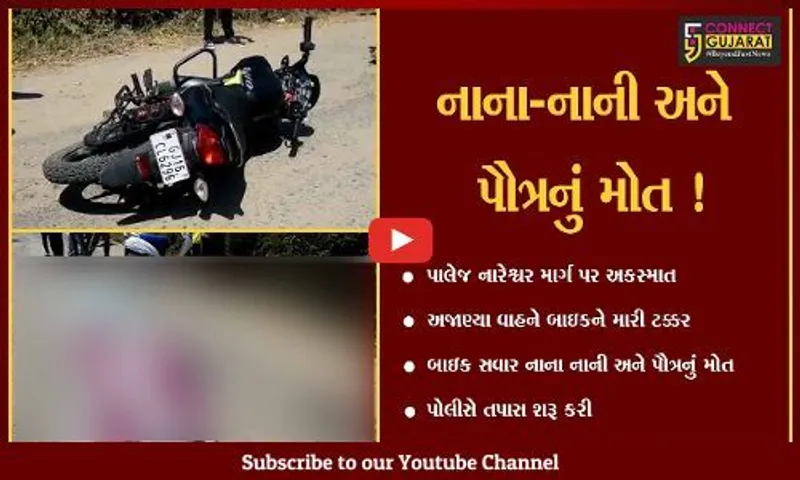 વડોદરા: પાલેજ નારેશ્વર માર્ગ પર અજાણ્યા વાહનની ટક્કરે  બાઇક સવાર નાના-નાની અને પૌત્રનું મોત