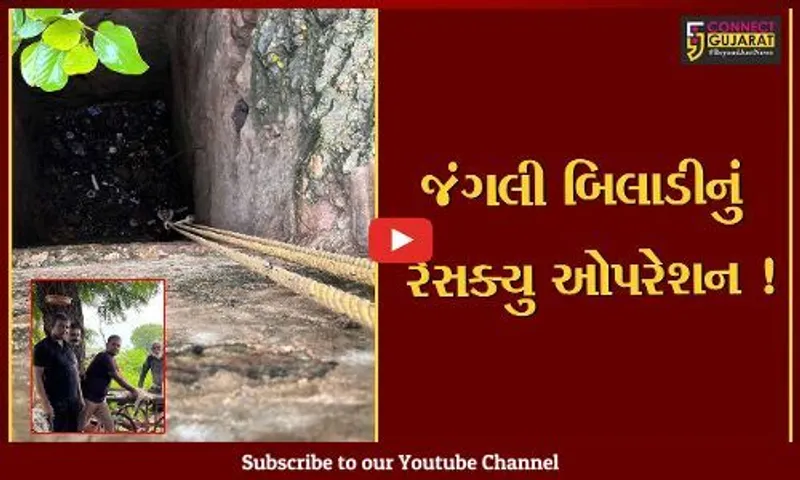 સુરેન્દ્રનગર: ધ્રાંગધ્રામાં 3 વર્ષથી ખાલી કૂવામાં પડેલ જંગલી બિલાડીનો જીવ બચાવાયો,જુઓ LIVE રેસક્યું ઓપરેશન