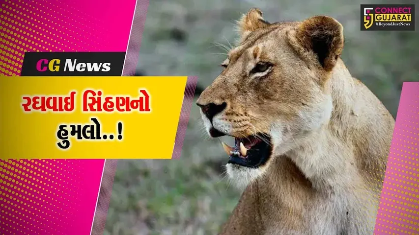 અમરેલી : સાવરકુંડલાના લુવારા ગામે સિંહણના હુમલામાં 7 વર્ષીય બાળકનું મોત, ગ્રામજનોમાં ફફડાટ