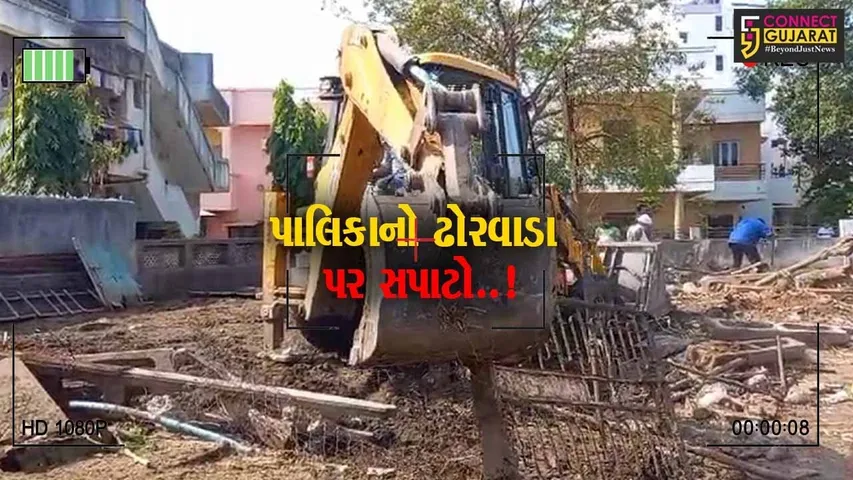વડોદરા : ઢોર નિયંત્રણ કાયદાનો અમલ નહીં કરતાં સુભાનપુરા પરવાનગી વિનાના ઢોરવાડા સામે મનપાની કાર્યવાહી...