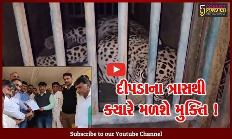 ગીરસોમનાથ: દીપડાઓના ત્રાસથી છૂટકારો અપાવવા ગ્રામજનોએ સરકારને કરી રજૂઆત