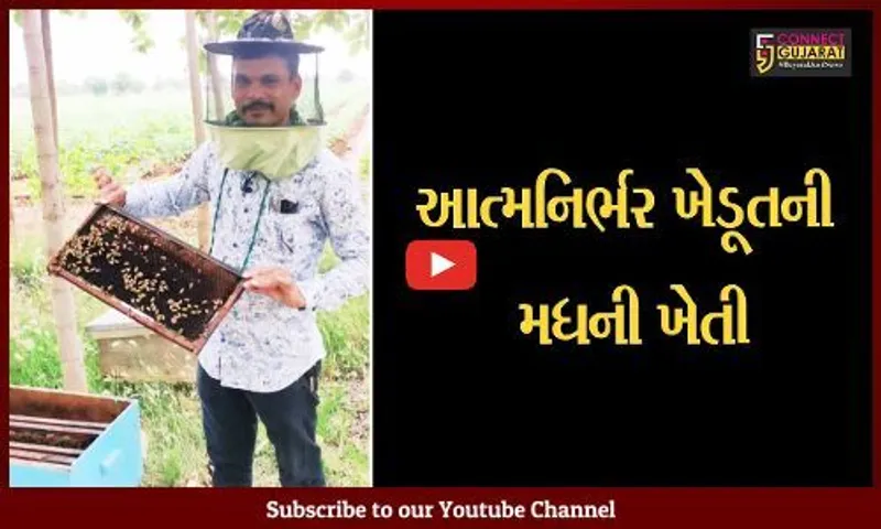 સુરેન્દ્રનગર : હળવદના ખેડૂતે મધનું વિક્રમજનક ઉત્પાદન કર્યું, જાપાનની ટીમે ખેડૂતની ડોક્યુમેન્ટરી ફિલ્મ બનાવી