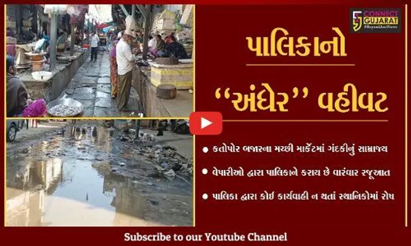 ભરૂચ : કતોપોર બજારના મચ્છી માર્કેટની બિસ્માર હાલત, પાલિકા પ્રત્યે લોકોમાં રોષ...