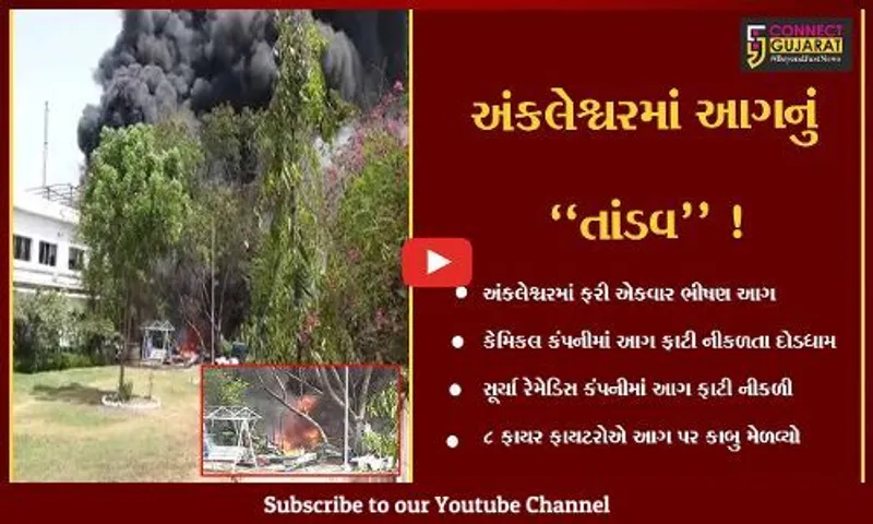 અંકલેશ્વર: સૂર્યા રેમેડિસ કંપનીમાં ભીષણ આગથી અફરાતફરી, 8 ફાયર ફાયટરોએ આગ પર મેળવ્યો કાબુ