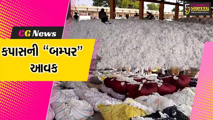 અમરેલી : બીજા નોરતે બાબરા માર્કેટિંગ યાર્ડમાં કપાસની બમ્પર આવક, સારા ભાવ મળતા ખેડૂતોમાં ખુશી...