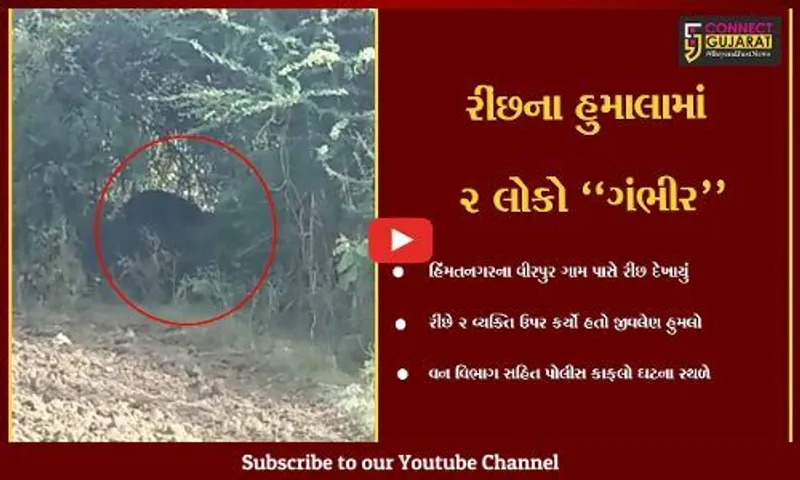 સાબરકાંઠા : વીરપુર ગામે રીંછે કર્યો 2 લોકો પર જીવલેણ હુમલો, રીંછને પાંજરે પુરવા વન વિભાગની કવાયત