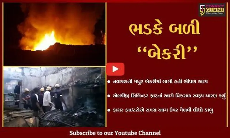 ભાવનગર : LPG સિલિન્ડર ફાટતાં બેકરીમાં લાગી ભીષણ આગ, ફાયર લાશ્કરોએ આગ પર મેળવ્યો કાબુ...
