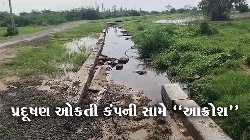 ભરૂચ : જંબુસરના નોંધાણા ગામે ખેતરોમાં ફરી વળ્યું VECL કંપનીનું પ્રદુષિત પાણી, ગ્રામજનોમાં આક્રોશ…