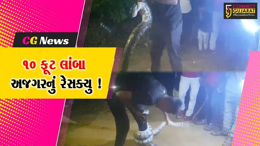 સાબરકાંઠા: હિંમતનગરના વિરપુરમાં 10 ફૂટ લાંબો અજગર જોવા મળ્યો, રેસક્યુ ઓપરેશન હાથ ધરાયુ