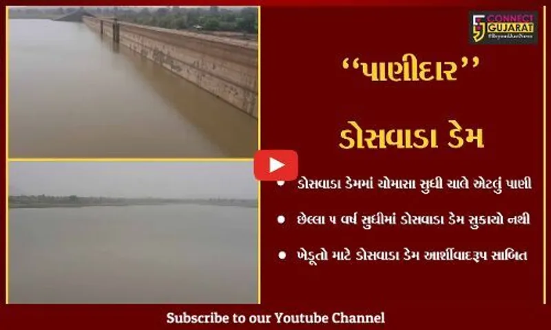 તાપી : ઉનાળાની કાળઝાળ ગરમી વચ્ચે પણ લોકોને પાણી પહોચાડવા માટે ડોસવાડા ડેમ અડીખમ...