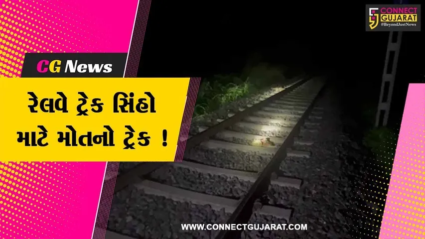 અમરેલી: છેલ્લા 10 દિવસમાં ત્રીજા સિંહનું ટ્રેનની અડફેટે આવી જતા મોત, સ્થાનિકોમાં રોષ