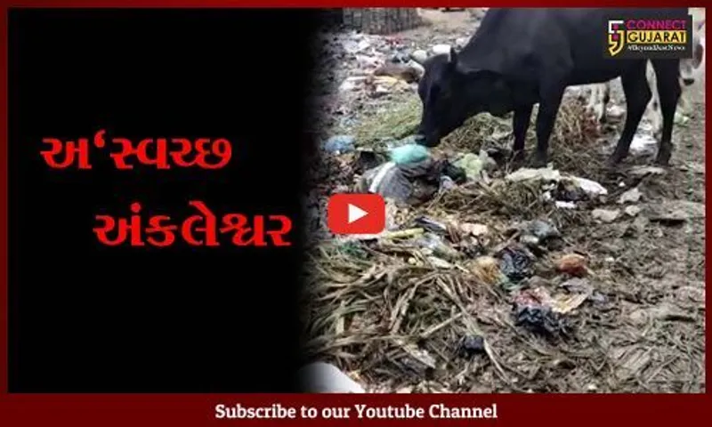 અંકલેશ્વર : મુખ્યમાર્ગો જ ગંદકીથી ખદબદી રહયાં છે, પાલિકાની કામગીરી "શુન્ય"