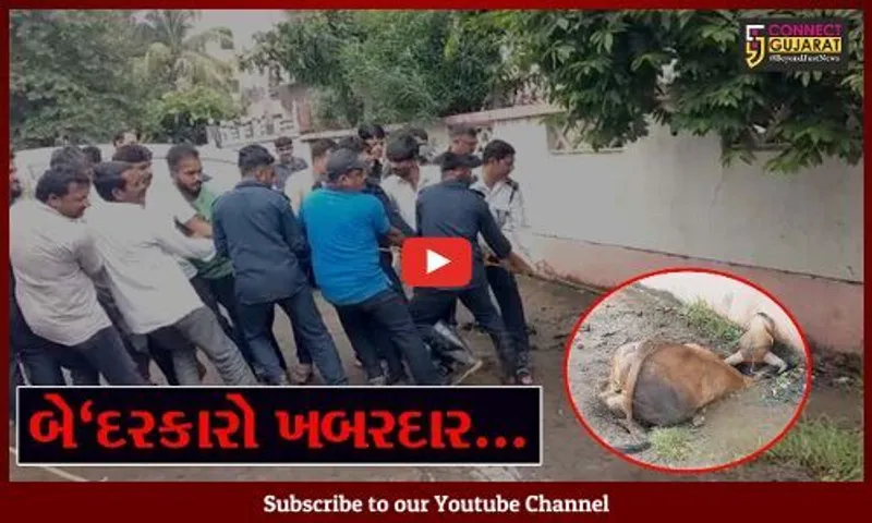 અંકલેશ્વર : નોટીફાઇડ એરિયા સુવિધાઓ પુરી પાડવામાં નિષ્ફળ, બેદરકારો થઇ જાવ "ખબરદાર"