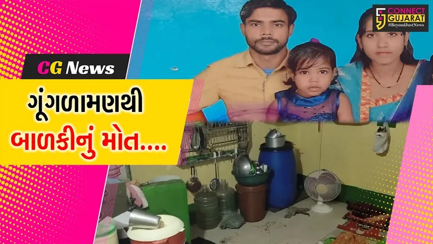 વલસાડ : વાપીના શૂલપડ વિસ્તારમાં મચ્છરને દૂર કરવા કરેલા ધૂમાડાથી પરિવાર બેહોશ, 1 બાળકીનું મોત....