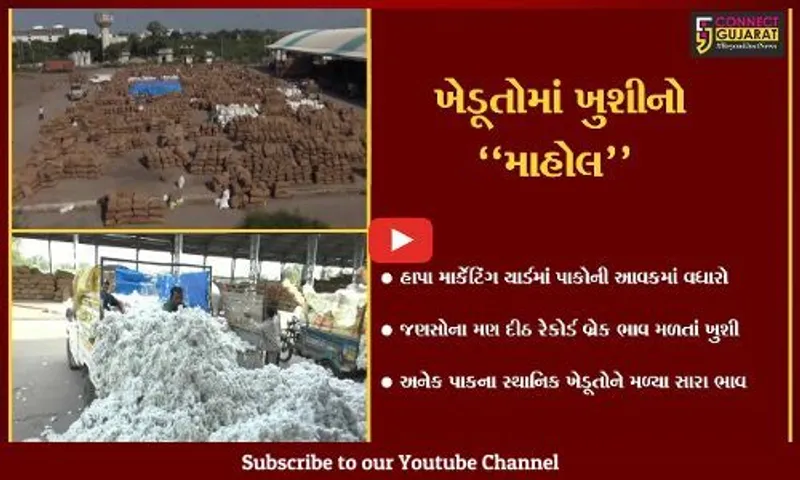 જામનગર : હાપા માર્કેટિંગ યાર્ડમાં જણસોના મણ દીઠ રેકોર્ડબ્રેક ભાવ મળતાં ખેડૂતોમાં ખુશી