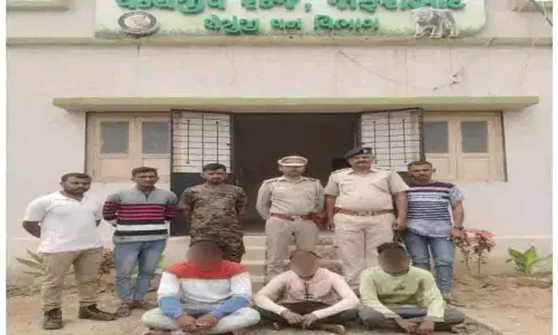 અમરેલી : વન્યજીવોનો શિકાર કરતાં 3 શિકારીઓની વન વિભાગે કરી ધરપકડ...