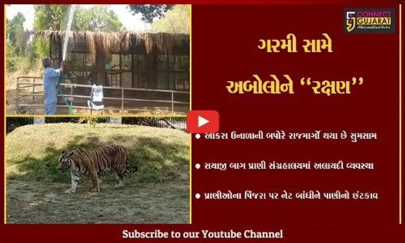 વડોદરા : સયાજી બાગ પ્રાણી સંગ્રહાલયના પશુ-પક્ષીઓને ગરમી સામે રાહત, જુઓ કેવી કરાય વ્યવસ્થા..!