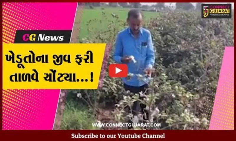 સાબરકાંઠા : માવઠાની આગાહીના પગલે ખેડૂતોના જીવ તાળવે ચોંટ્યા, પાક બચાવવાની કવાયતે લાગ્યા...