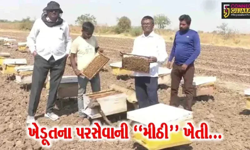 સુરેન્દ્રનગર : મધમાખીનો ઉછેર કરી મધ સાથે બમણી આવક મેળવતા ગાજણવાવ પ્રગતિશીલ ખેડૂત...