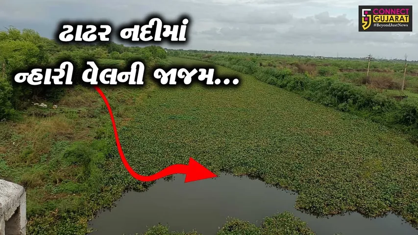 ભરૂચ : આમોદની ઢાઢર નદીમાં ન્હારી વેલની લીલીછમ જાજમ પથરાતા લોકોમાં ચિંતા, તાકીદે સફાઈ હાથ ધરવાની માંગ...