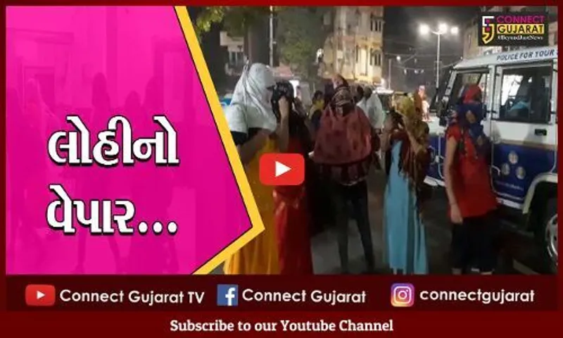વડોદરા : પાણીગેટના સનરાઇઝ કોમ્પલેકસમાં ચાલતું હતું કુટણખાનું, સાત લલના અને ત્રણ ગ્રાહક ઝડપાયાં
