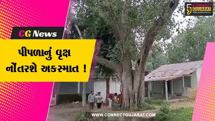 અરવલ્લી: માલપુર તાલુકાના અણિયોર ગામે પીપળાનું વૃક્ષ નોંતરશે અકસ્માત! ગ્રામજનોમા રોષ