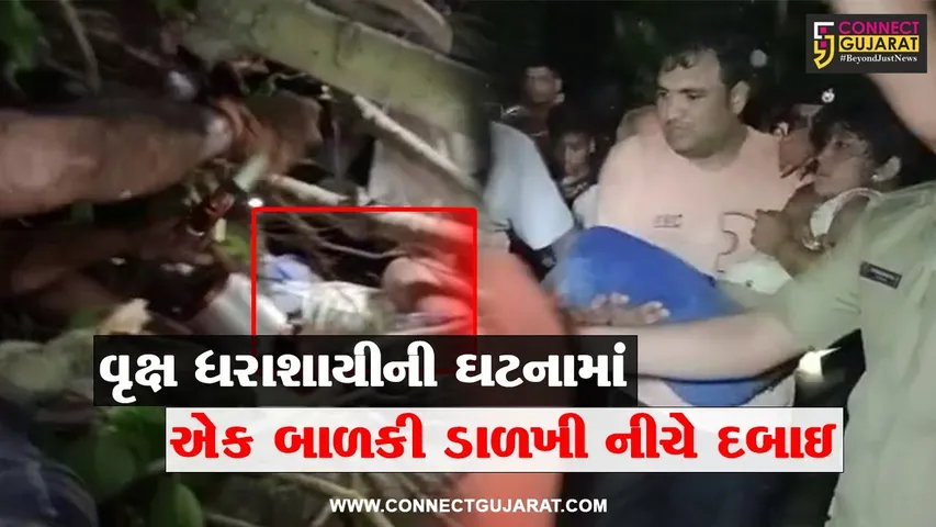 આણંદ : વિદ્યાનગરમાં ઘટાદાર વૃક્ષ ધરાશાયી થતાં એક બાળકી ડાળખી નીચે દબાય, ફાયર ફાઈટરોએ કર્યું રેસ્ક્યુ...
