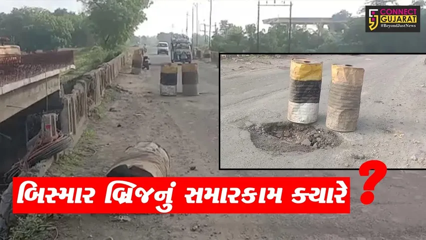અંકલેશ્વર-રાજપીપલાને જોડતો ઉછાલી બ્રિજ બન્યો જર્જરિત, મસમોટા ખાડા પડતાં વાહનચાલકોને હાલાકી.