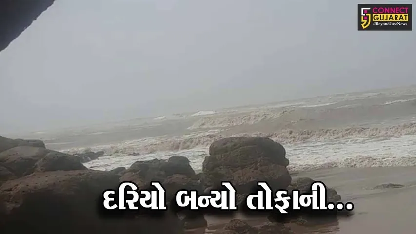 ભાવનગર : ઊંચા કોટડા નજીક દરિયામાંથી ડોલ્ફીન માછલીનું બચ્ચું બહાર તણાઈ આવ્યું, લોકોમાં કુતુહલ...