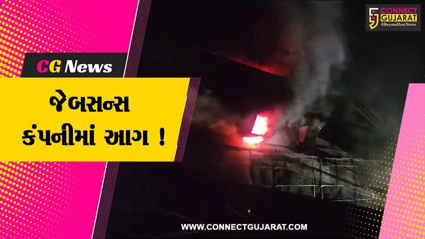 ભરૂચ: ભોલાવ ઉદ્યોગનગરમાં આવેલ કંપનીમાં આગ,2 ફાયર ફાયટરોએ આગ પર કાબુ મેળવ્યો