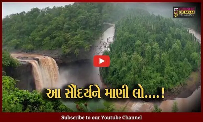 ડાંગ : ગુજરાતનો સૌથી ઊંચાઈ ધરાવતો ગીરમાળ ધોધ સંપૂર્ણ ખીલી ઉઠતા સૌંદર્ય દીપી ઉઠ્યું