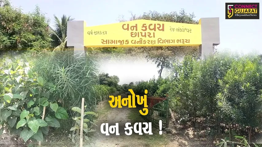 અંકલેશ્વર: જુના છાપરા ગામે અનોખું વનકવચ ઉભુ કરાયુ,જાપાની ટેકનોલોજીની લેવાય મદદ