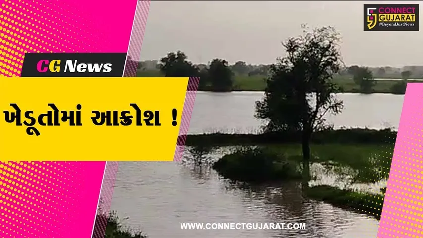 ભરૂચ: આમોદના દોરા ગામ નજીક એક્સપ્રેસ હાઈવેની કામગીરીને પગલે ખેતરો બેટમાં ફેરવાયા,ખેડૂતોમાં આક્રોશ