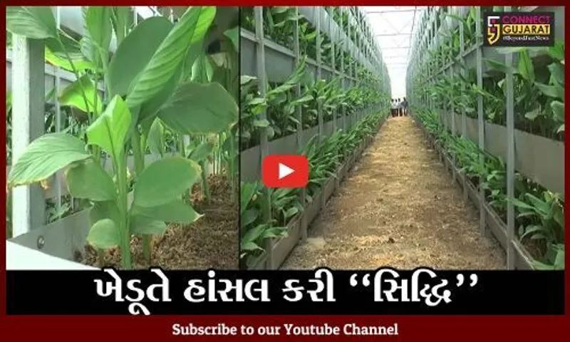 સાબરકાંઠા : ઇઝરાયેલ ટેકનોલોજીની મદદથી ખેડૂતે હળદરની ખેતી કરીને મેળવ્યું બમળું ઉત્પાદન..!