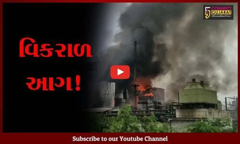 ભરૂચ: અંકલેશ્વર પાનોલીની બજાજ હેલ્થકેર કંપનીમાં ભીષણ આગ