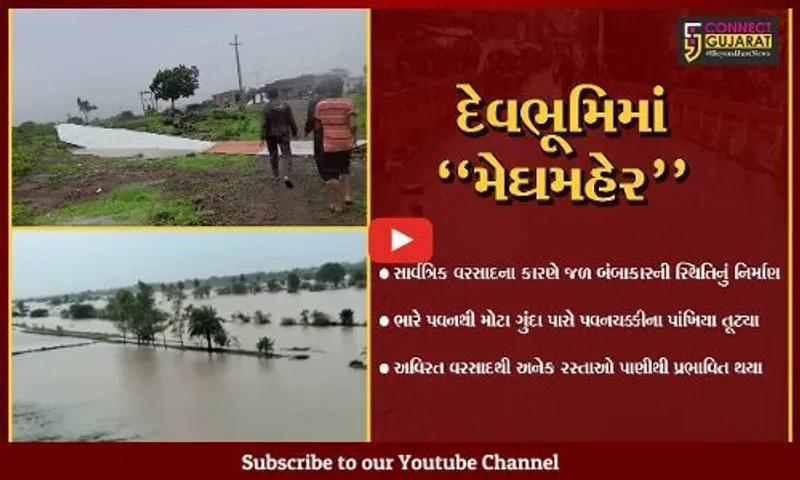દેવભૂમિ દ્વારકા : ભારે પવન આવતા મોટા ગુંદા ગામે પવનચક્કીના પાંખિયા તૂટ્યા, વરસાદથી જળ બંબાકારની સ્થિતિ